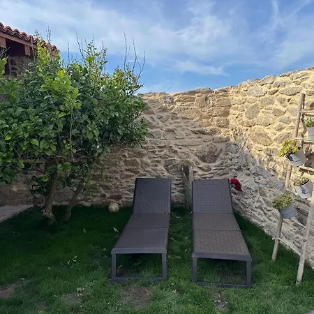 A Vixia Do Roncudo *