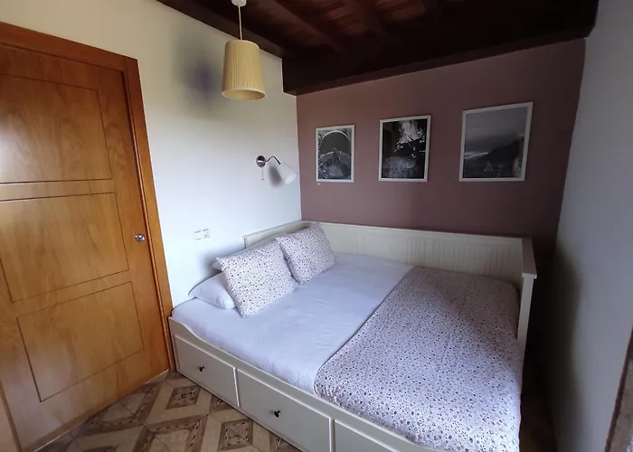 A Vixia Do Roncudo *