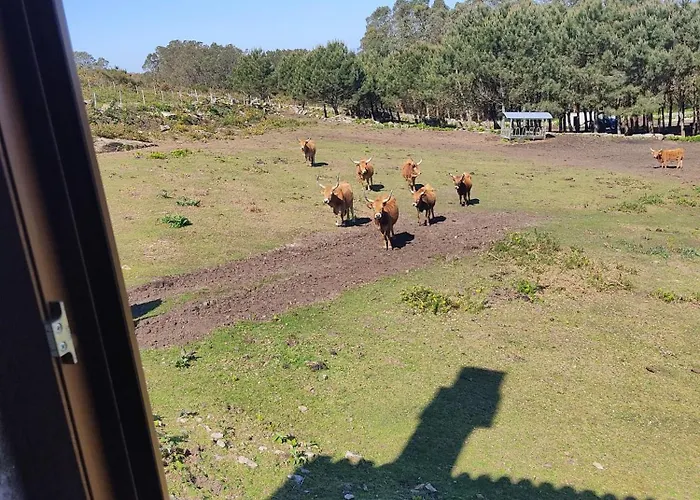 A Vixia Do Roncudo Corme