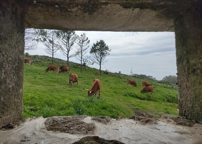 A Vixia Do Roncudo シャレー Corme